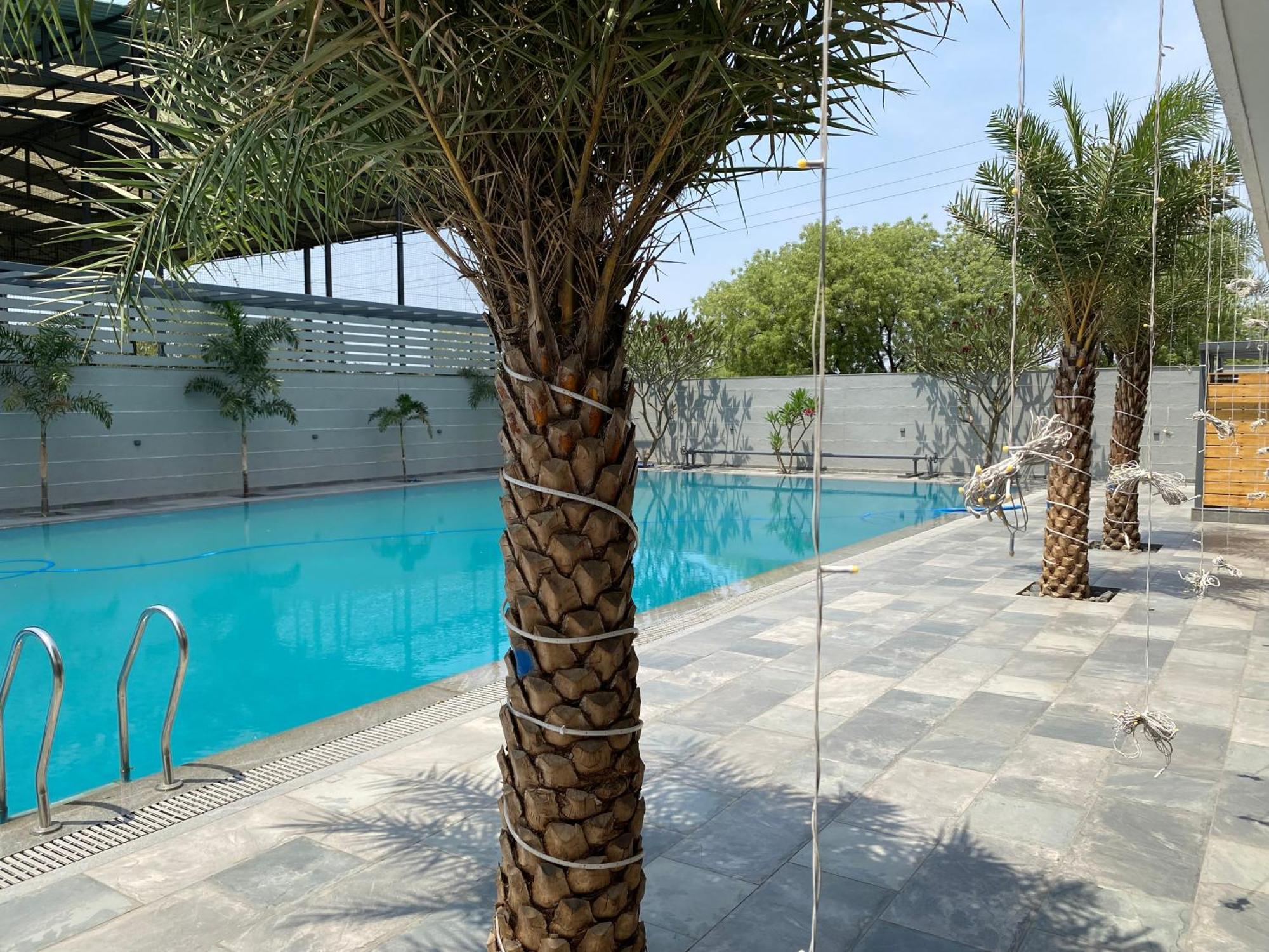 The Pavilion Park Resort ماليغاؤن المظهر الخارجي الصورة